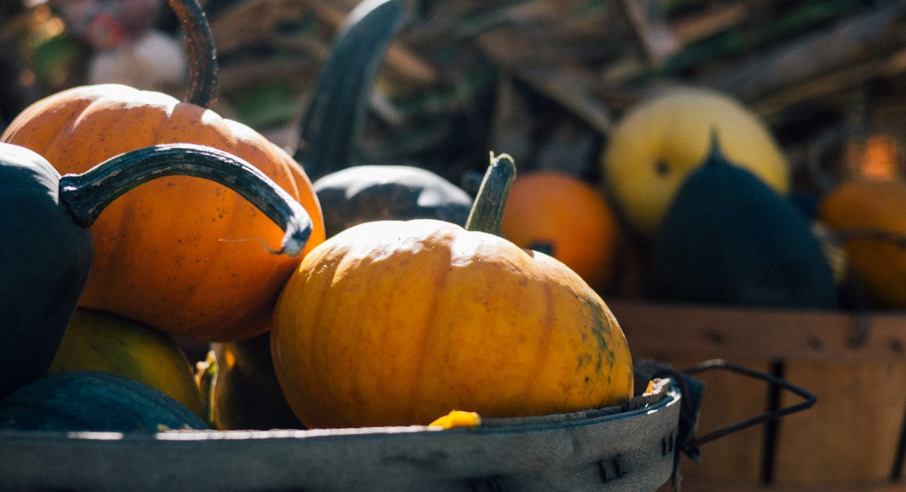 Grapes in September and squash in October: ideal foods for autumn